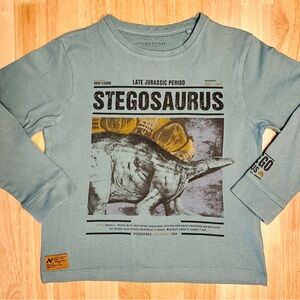 Boys Denim and Flower Ultra Soft Cotton Stegosaurus T Shirt Age 5-6